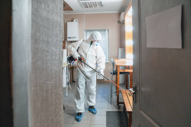 Best Mold Removal for HVAC Installations  in Pismo Beach, CA